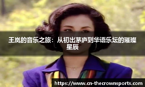 王岚的音乐之旅：从初出茅庐到华语乐坛的璀璨星辰